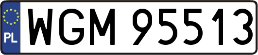 WGM95513