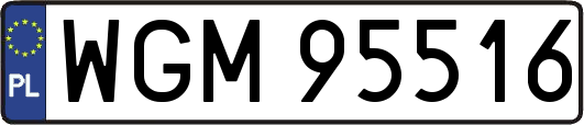 WGM95516