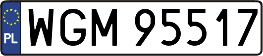 WGM95517