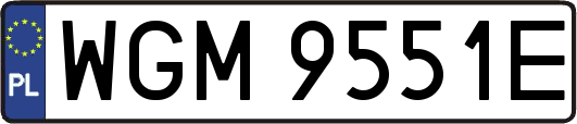 WGM9551E