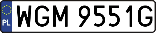 WGM9551G