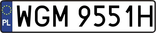 WGM9551H