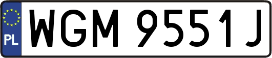 WGM9551J