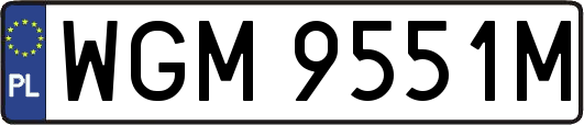WGM9551M