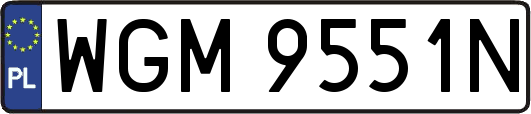 WGM9551N