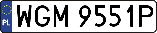 WGM9551P