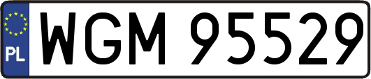 WGM95529