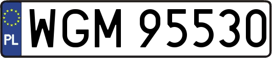 WGM95530