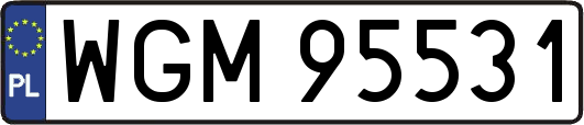 WGM95531