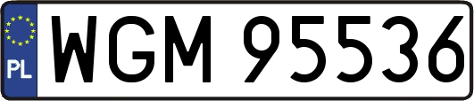 WGM95536
