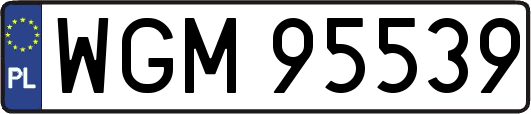 WGM95539