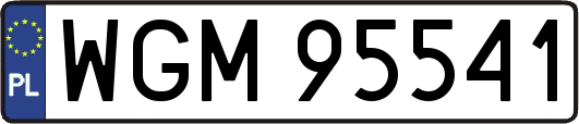 WGM95541