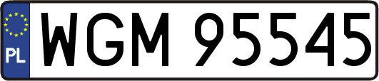 WGM95545