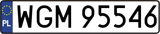 WGM95546