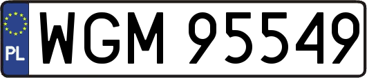 WGM95549