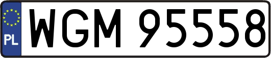 WGM95558