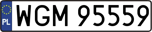 WGM95559