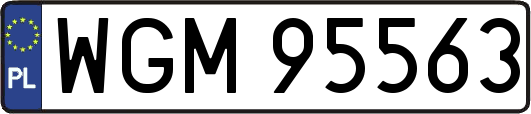 WGM95563