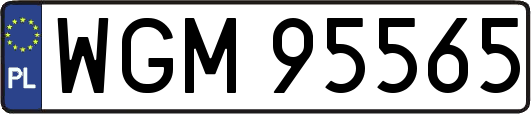 WGM95565