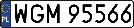 WGM95566