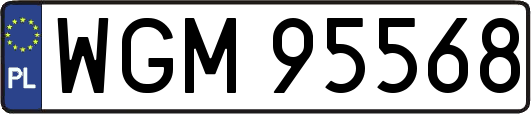 WGM95568