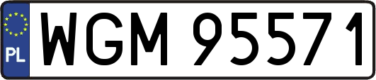 WGM95571