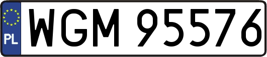 WGM95576