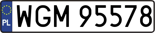 WGM95578