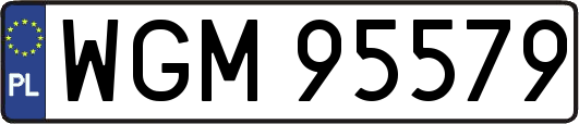 WGM95579