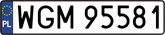 WGM95581