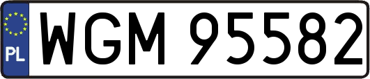 WGM95582