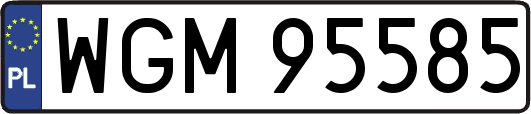 WGM95585