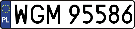 WGM95586