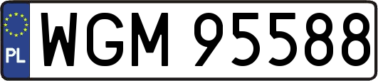WGM95588