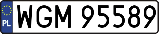 WGM95589