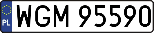 WGM95590