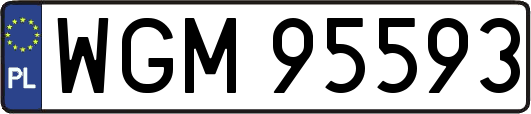 WGM95593