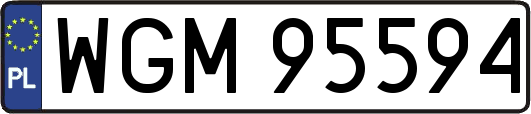 WGM95594