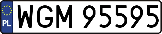 WGM95595