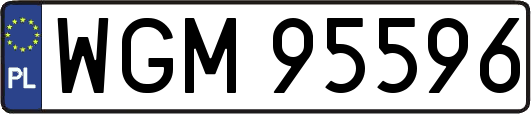 WGM95596