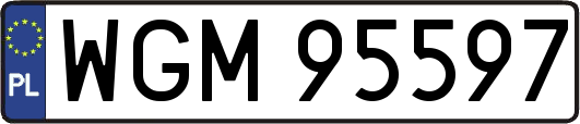 WGM95597