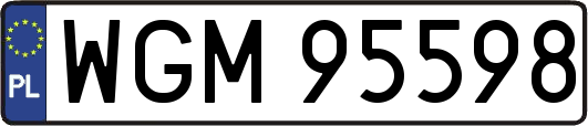 WGM95598