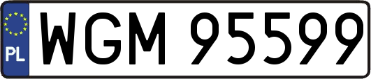 WGM95599