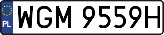WGM9559H
