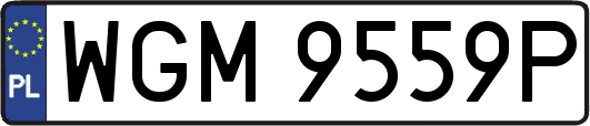 WGM9559P