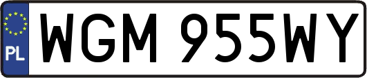 WGM955WY