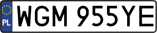 WGM955YE