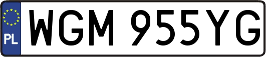 WGM955YG