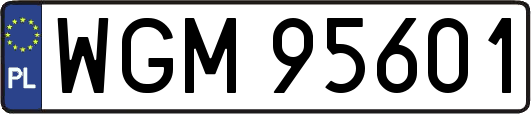 WGM95601