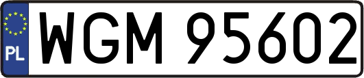 WGM95602